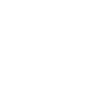IT & Digital Services