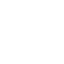 IT & Telecommunications