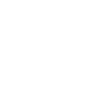 IT & Telecommunications